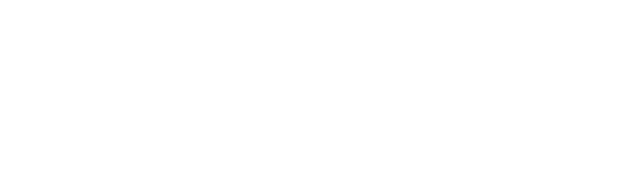 Strive Enterprise